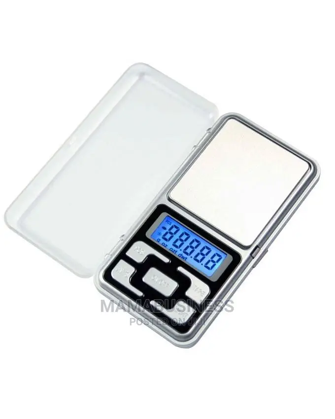 Digital Weighing Pocket Scale - Silver