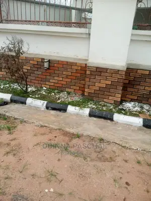 This One Is South African Bricks