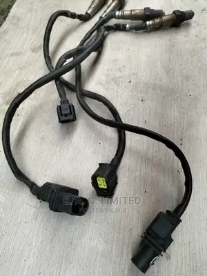 Oxygen Sensor