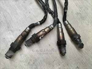 Oxygen Sensor