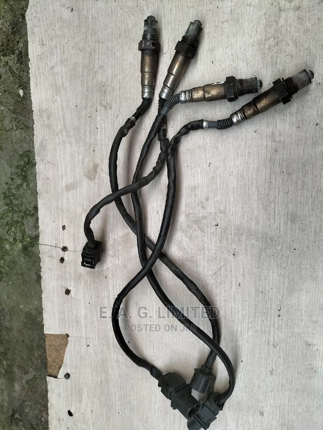 Oxygen Sensor