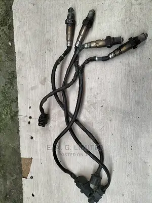 Oxygen Sensor